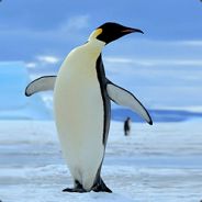 Глупый Пингвин's Avatar
