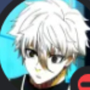 dgs