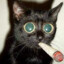 Gato Fumador...