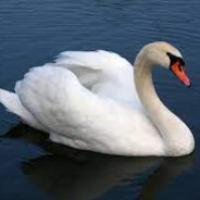 Swanu