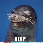 Derpy Seal steam profile on Profilerr