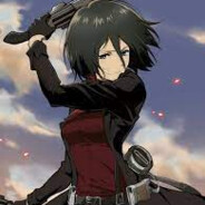 Mikasa