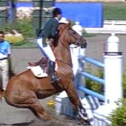 Baloubet du Rouet