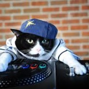DJ CAT