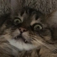 Mints