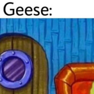 sock