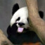 又又又一个秋