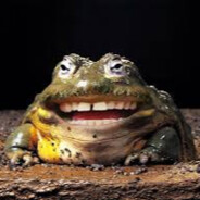 Frog's Avatar
