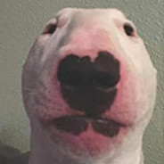 s e r p E