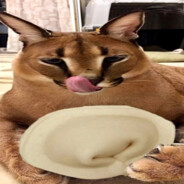 angryfl00pa b33n fl00p3d