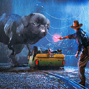 Pug Lover