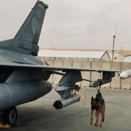 ⚡JeT_DoG⚡