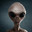 Group Avatar