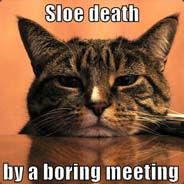 -=[dMw]=- BigFatCat - steam id 76561197963227317