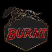 Burni's Avatar