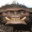 Group Avatar