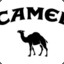 &gt;Camel&lt;