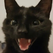 50 giggle