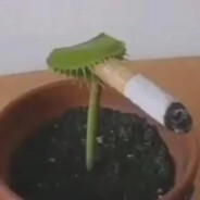 player of the year 2015