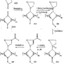 Polypeptide_Paul