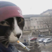 куда смеяться да