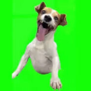 ChiefPeek