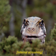 RETARTEDRAPTOR™