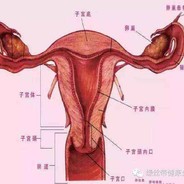 浴黄大弟's Avatar