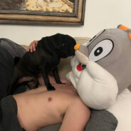 El Marquito