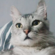 Troska