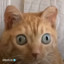 Pip0