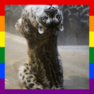 The Friendly Gay Imbecile