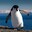 Group Avatar