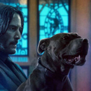 John Wick's Dog's Avatar