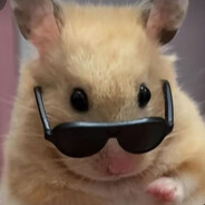 https://avatars.akamai.steamstatic.com/6376da101c0909b976a3e319ba11e3b24aa5e1b8_full.jpg