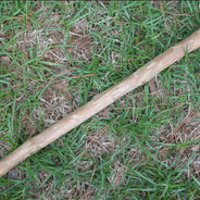 Mr_stick