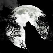 Mr. Wolf