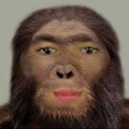 Ape avatar