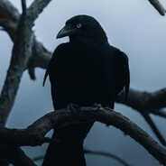darKq