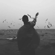 人不自在如何花开❀