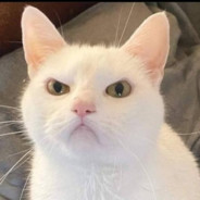 NERVOS  you can call me daddy