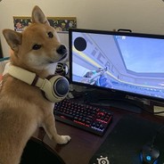 de_shiba