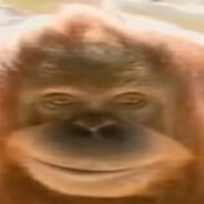 Epic monke