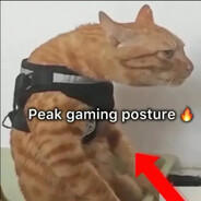 NightShinobi's Avatar