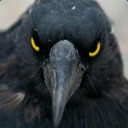 Raven ¯\_(ツ)_/¯