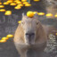 Mode: Capybara