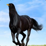PassingMotion's Avatar