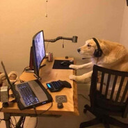 Dog Player