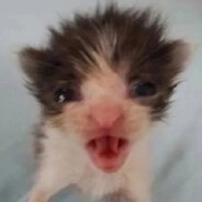 twitch.tv/deadcodegg