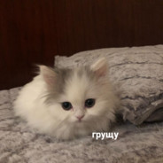 ебать.